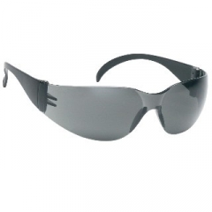 INOX F-I Safety Glasses